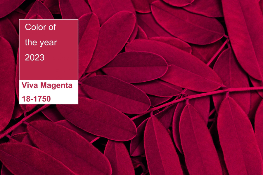 Pantone Anuncia Viva Magenta Como Cor Do Ano De 2023 Conhe a Suas 